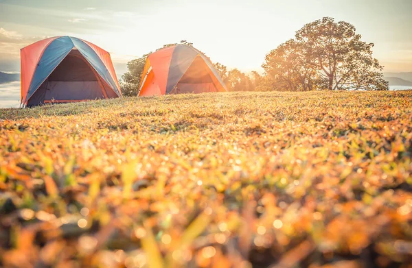 Two camping tent set on grass floor with Mountain background view in Morning scene and sun flare