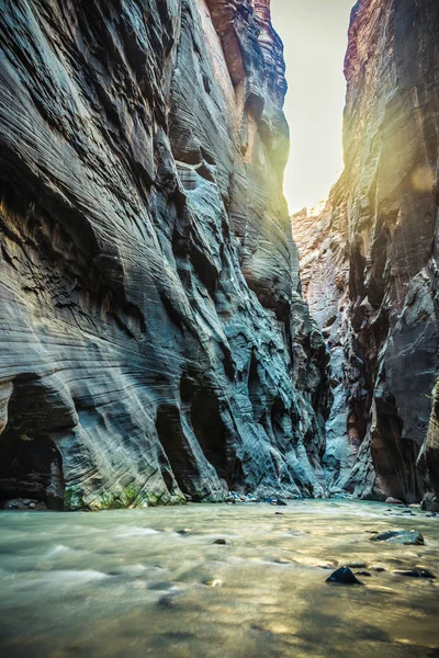 Красивый Каньон Сион Сужается Рекой Вергин Национальном Парке Сион Юта — стоковое фото
