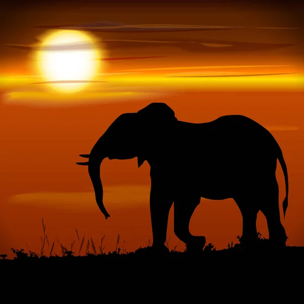 Sylwetka słoń wektor ilustracja — Wektor stockowy