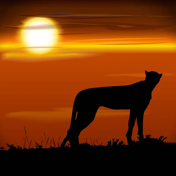 Silhouet van cheetah — Stockvector