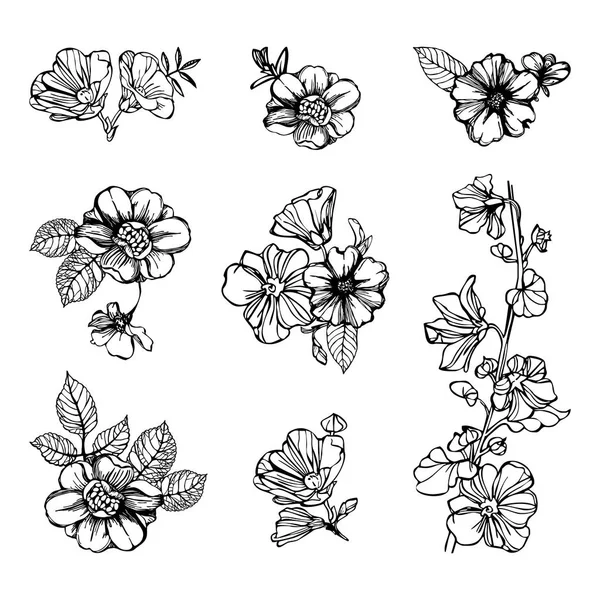 Ensemble de fleurs vintage — Image vectorielle