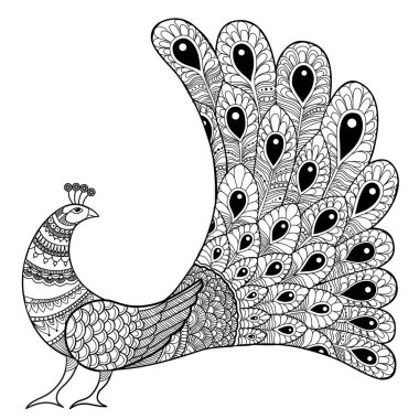 Tavus kuşu el çizilen illüstrasyon