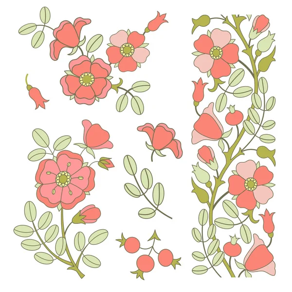 Dogrose の花 — ストックベクタ