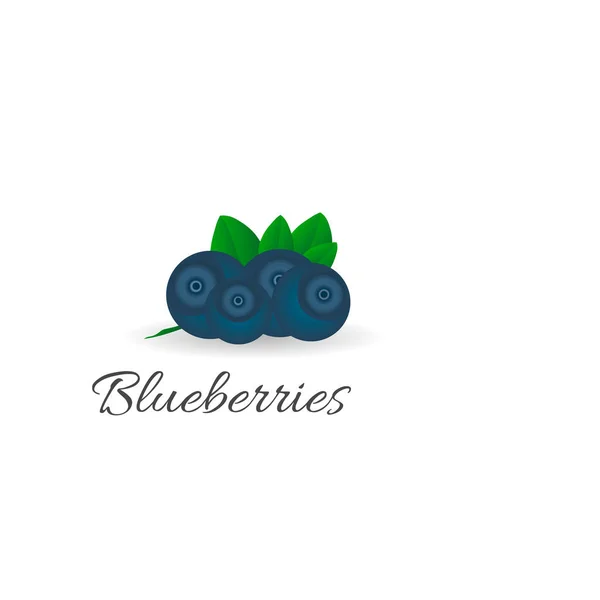 Berry Blueberry.Vector illüstrasyon
