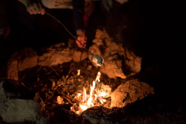 Lagerfeuer Wald — Stockfoto