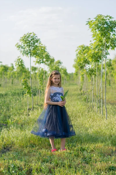 Una Joven Bosque Niña Parque — Foto de Stock