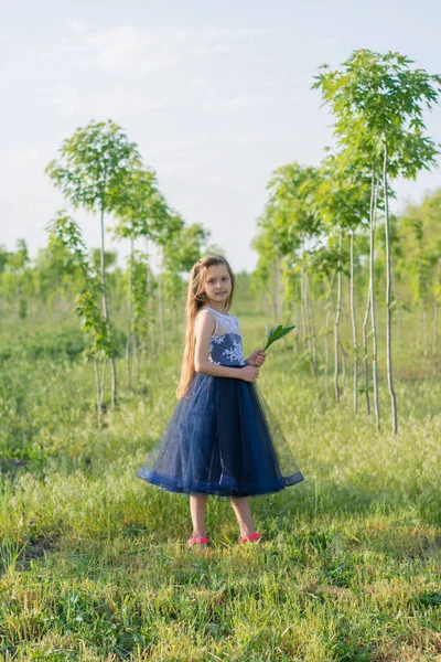 Schöne Mädchen Blauen Kleid Freien — Stockfoto
