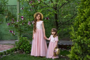 Kız kardeşler parkta eğleniyor. Mutlu kardeşler.