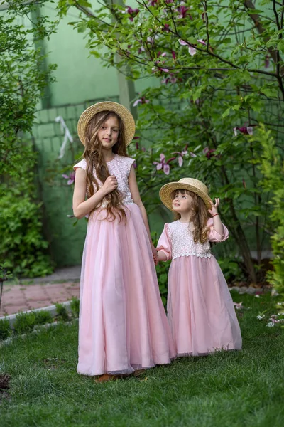 Systrar Som Har Kul Parken Lyckliga Systrar — Stockfoto