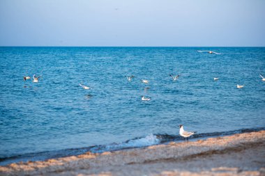 Kumsaldaki genç çift. Sahilde genç bir çiftin silueti.