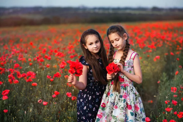 Schöne Mädchen Spielen Mohnfeld Mohnfeld Schwestern Auf Dem Feld Freundinnen — Stockfoto