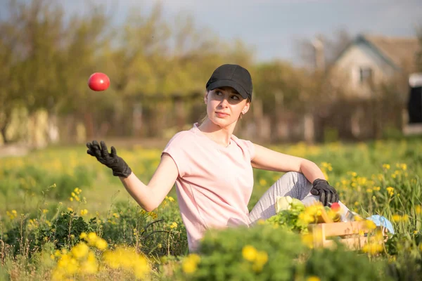 Elmalı Genç Bir Kadın Raporu Inceleyen Çalışkan Bir Kurye Sebze — Stok fotoğraf
