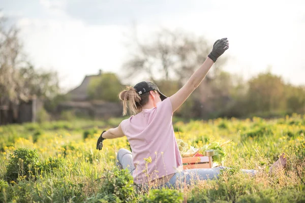 Neat Hardworking Courier Perusing Report Young Woman Bag Vegetables Young — Stock Photo, Image