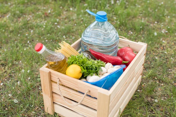 Frisches Gemüse Einem Korb Eine Flasche Wasser Garten Coronavirus Bleiben — Stockfoto