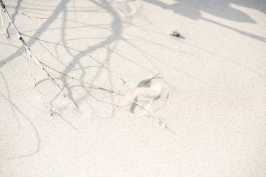 Sahilde insan izleri olan kum.