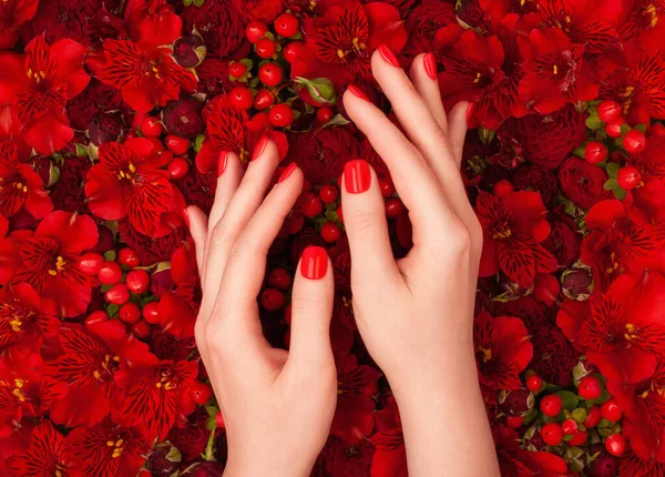 Mains Féminines Avec Manucure Rouge Vif Sur Fond Floral Luxueux — Photo