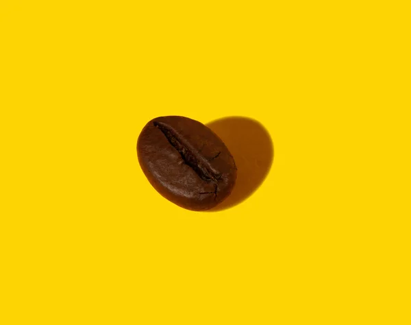 Creative Composition Real Closeup Macro Photography Coffee Bean Hard Shadow — Stock Photo, Image