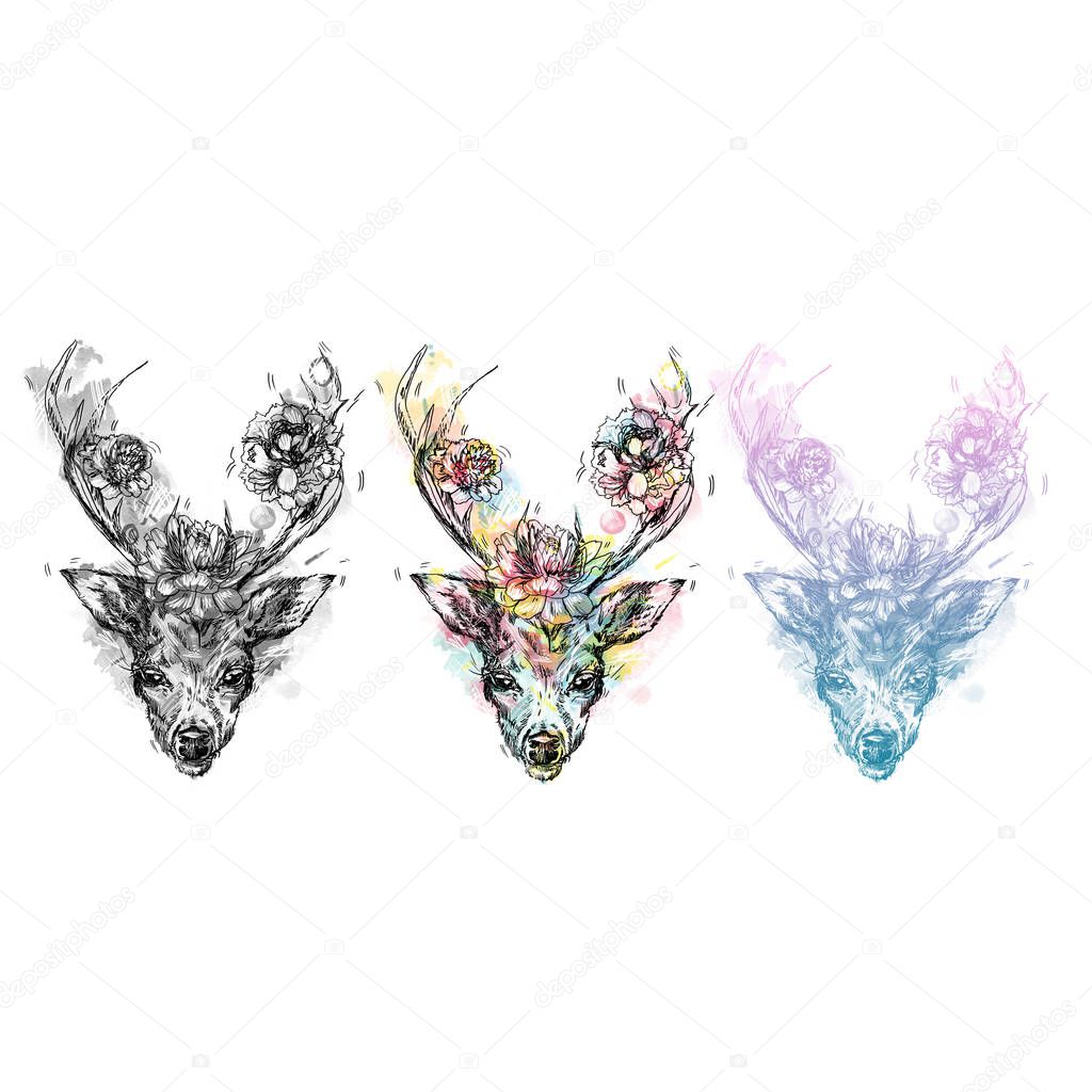 A young deer with horny horns on which peonies are planted. Illustration. Design a tattoo, a symbol of mystical magic for your use. Iillustration isolated deer, big antlers, flowers on the horns
