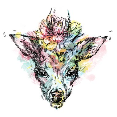 Genç bir geyik azgın boynuzları üzerinde peonies ekilir. Resimde. Bir dövme, kendi kullanımınız için mistik sihirli sembolü tasarım. Iillustration izole geyik, büyük boynuzları, boynuzları üzerinde çiçekler