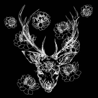 Genç bir geyik azgın boynuzları üzerinde peonies ekilir. Resimde. Bir dövme, kendi kullanımınız için mistik sihirli sembolü tasarım. Iillustration izole geyik, büyük boynuzları, boynuzları üzerinde çiçekler