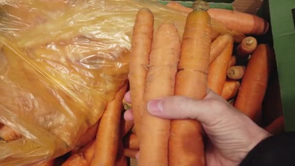 Manos que eligen la zanahoria en la tienda de verduras o en el mercado . — Vídeos de Stock