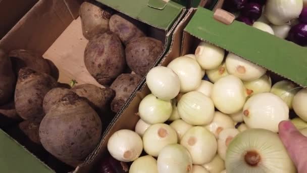 Manos que eligen la cebolla en la tienda de verduras o en el mercado . — Vídeos de Stock