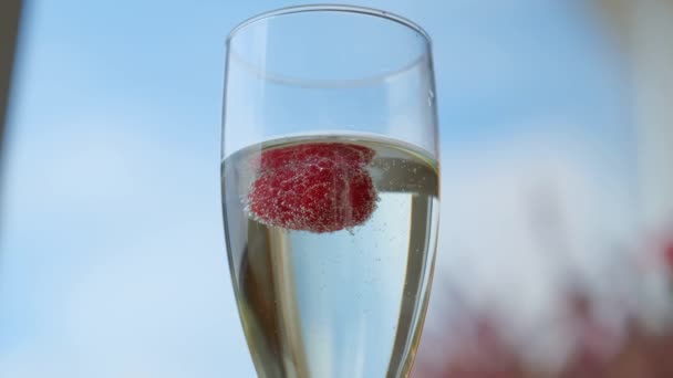 Champagner im Glas mit Himbeeren. — Stockvideo