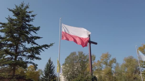 Lengyel zászló a kereszt hátterében. — Stock videók