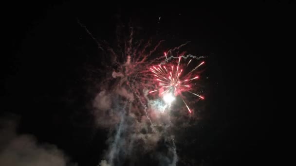 Flashes van vuurwerk in de nachtelijke hemel. — Stockvideo