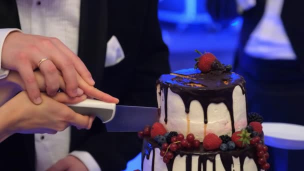 신부 랑 신랑 이 케이크를 자르고 있어. 신혼 부부를 위한 첫 번째 케이크 조각. — 비디오