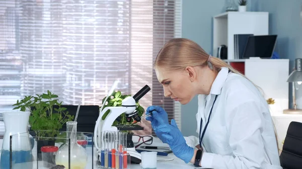 Ricercatrice donna che fa cadere un campione sul vetrino del microscopio e lo esamina — Foto Stock