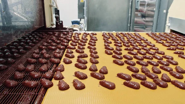 Candy factory. Conveyor with chocolate candies.