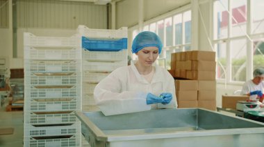 Fabrika işçisi paketleme makinesini kontrol ediyor. Şeker fabrikası.