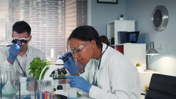 In modern research laboratory black female scientist looking at organic material under microscope