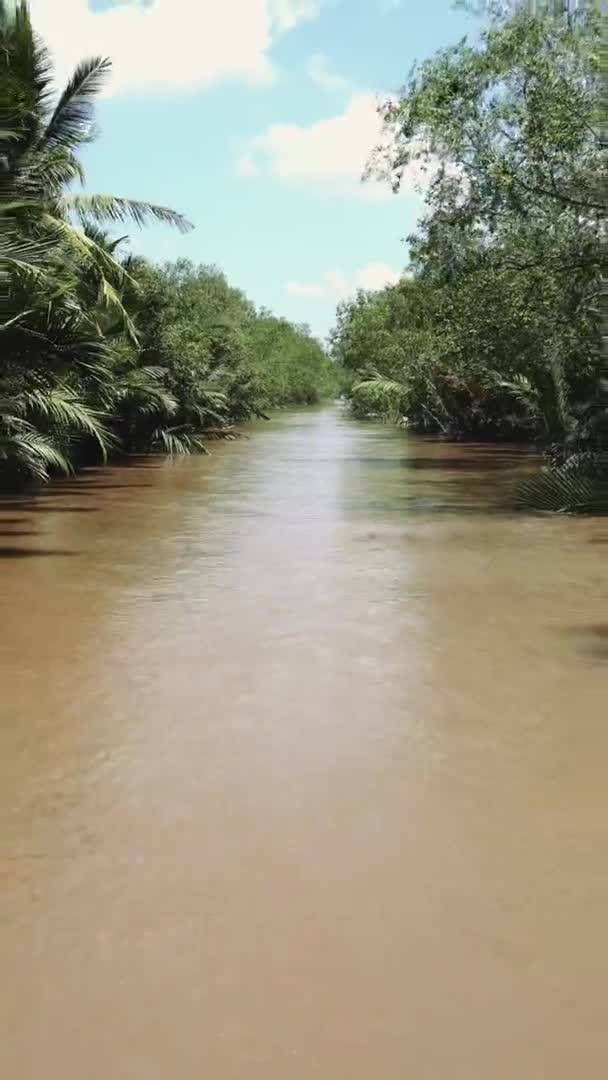 Mekong rivier in Vietnam, Zuidoost-Azië — Stockvideo