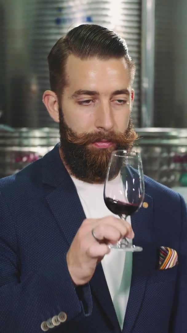 Hombre barbudo degustando vino . — Vídeos de Stock