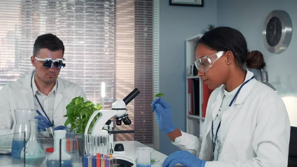 In modern research laboratory black female scientist looking at organic material under microscope