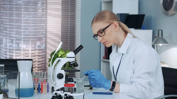 Professore di chimica femminile in camice da laboratorio con pipetta per far cadere fertilizzanti su qualcosa — Foto Stock