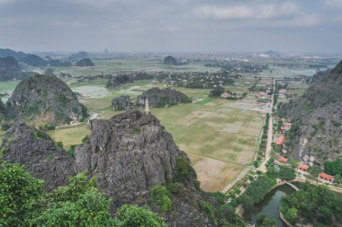 Güzel kireçtaşı dağları ve Hang Mua 'dan pirinç tarlaları.