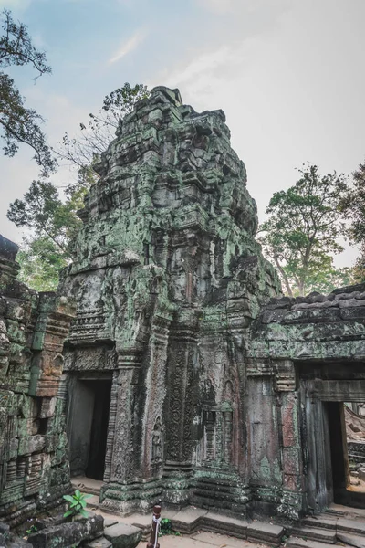 Enorma Banyan Tree Ancient Angkor Wat Ruiner Panorama Sunrise Asia. Siem Reap, Kambodja — Stockfoto