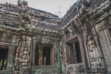 Terk Edilmiş Tapınak Harabeleri - Angkor Wat