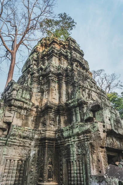Camboya Angkor Wat Ta Prohm Templo Tumba Raider Árbol Raíces Ruinas — Foto de Stock