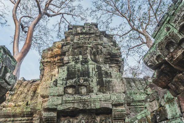 Cambodja Angkor Wat Ta Prohm Tempel Graf Raider Tree Roots Ruïnes — Stockfoto