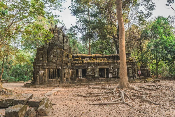 Enorme Banyan Tree Ancient Angkor Wat ruïneert Panorama Sunrise Asia. Siem Reap, Cambodja — Stockfoto