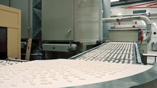 Candy factory. Fresh candies on conveyor belt. — Stock Video