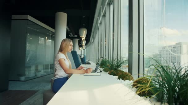 Una donna d'affari che lavora con un portatile in un nuovo ufficio. Vista laterale della donna seduta al tavolo accanto alla finestra nell'ufficio moderno e che utilizza il computer portatile alla luce del giorno . — Video Stock