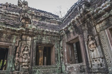 Terk Edilmiş Tapınak Harabeleri - Angkor Wat