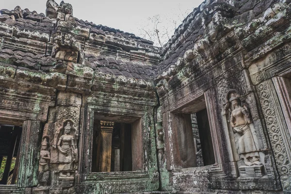 Terk Edilmiş Tapınak Harabeleri - Angkor Wat