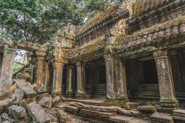 Terk Edilmiş Tapınak Harabeleri - Angkor Wat