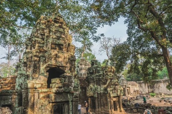 Cambodja Angkor Wat Ta Prohm Tempel Graf Raider Tree Roots Ruïnes — Stockfoto